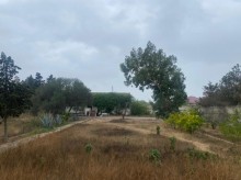 "Encirlik" market ile uzbeuz "H.Z.Tagiyev" kucesinde torpaq almaq, -3