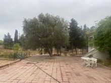 "Encirlik" market ile uzbeuz "H.Z.Tagiyev" kucesinde torpaq almaq, -8