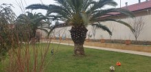 Buzovnada bag evi villa satisi, -6