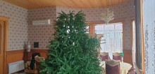 Buzovnada bag evi villa satisi, -17