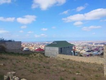 hokmelide torpaq satisi 12 sot, -8