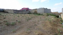 hokmelide torpaq satisi 12 sot, -10