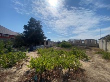 "Encirlik" marketi kecdikden sonra yolun sag terefinde 9 sot topraq, -4