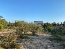 Shuvelan Qala yolunda 33 sot topraq sahesi almaq, -5
