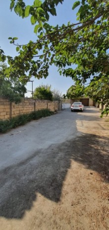Novxani cimerliyi yaninda 12 sot otpraq satilir, -1