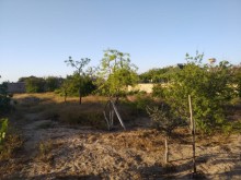 pirsagida torpaq almaq demiryolu terefde, -4