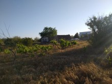 pirsagida torpaq almaq demiryolu terefde, -6