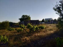 pirsagida torpaq almaq demiryolu terefde, -7