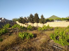 pirsagida torpaq almaq demiryolu terefde, -8