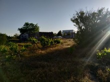 pirsagida torpaq almaq demiryolu terefde, -10