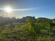 Şagan qesebesinde Duz-Corek restorani ile uzbeuz  torpaq almaq, Xəzər.r, Şağan-7