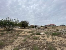 merdekanda merline camamish 12 sot topraq almaq, -1