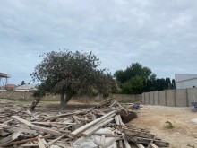 merdekanda merline camamish 12 sot topraq almaq, -5