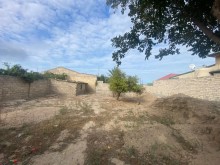 Buzovnada 6 sot topraq almaq korpuye catmamish, -3
