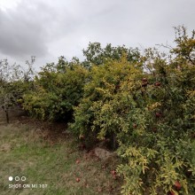 merdekan sagan istiqametinde 11 sot topraq almaq, -12