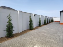 nardaranda tecili satilan bag evi, -6