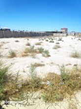 turkanda 40 sot torpaq sahesi almaq, -2