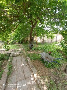Torpaq almaq, Bakı, Masazır q 13 sot, -2