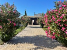 Ev / villa almaq, Bakı, Buzovna q Musa Nağıyev küçəsində, -4