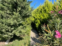 Ev / villa almaq, Bakı, Buzovna q Musa Nağıyev küçəsində, -11