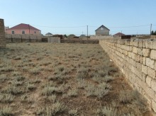 turkanda ucuz qiymete topraq almaq, -7