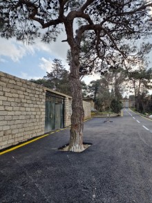 Ziyaretgah terefde torpaq almaq, -6