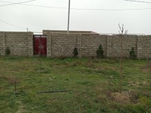 Binə qəsəbəsində torpaq almaq 15 sot, -20