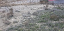 Badamdar 3-cü massivdə 22 sot torpaq sahəsi almaq, -1