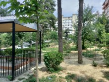 Məzahir Rüstəmov küçəsində 3 otaqli ev almaq, -18