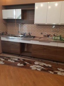 Badamdar 1-ci massivdə 8.5 sot torpaq sahəsinin içində tikilmiş 3 mərtəbəli, 8 otaqlı ev satılır, -13