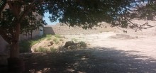 Bakı şəhəri Türkan qsəbəsində ev satılır barter memkündür, -8