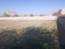 Bakı şəhəri Turkan qəsəbəsində 16 sot topraq sahəsi almaq, -4