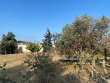 Şüvelandan üzü Qalaya gedende 12 sot torpaq almaq, -7