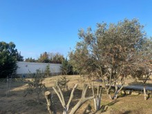 Şüvelandan üzü Qalaya gedende 12 sot torpaq almaq, -8