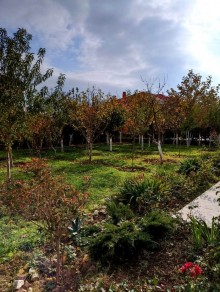 Ev villa almaq Masazir qesebesi VILLA BADAM rezidensde, -18