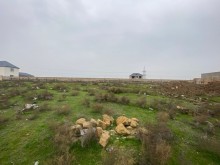 Satılır Torpaq, Xəzər.r, Mərdəkan, Koroğlu.m-2