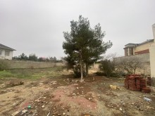 Suvelan Parkdan sola, Suvelan deniz yolunda Torpaq, -1