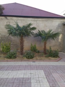 Qaracuxurda Elvin restorani yaninda ev amaq, -3