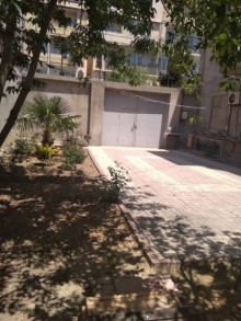 Qaracuxurda Elvin restorani yaninda ev amaq, -6