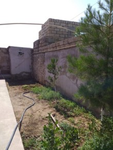 Sovxoz Ramanida ev almaq, -3