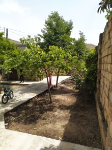 Razinde Arablinkada ev almaq, -2