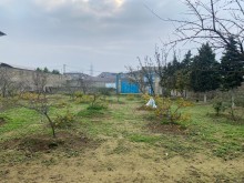 Torpaq almaq Merdekan Bakı, -3
