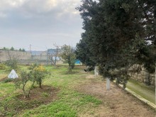 Torpaq almaq Merdekan Bakı, -7
