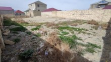 Sarayda satilan torpaq, -2