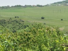 xizida satilan evler, -13
