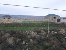 qobuda torpaq 2022, -1