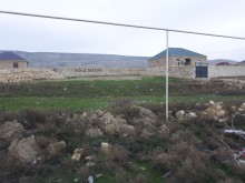 qobuda torpaq 2022, -4