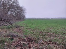 Nabranda torpaq satlir, -3
