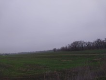 Nabranda torpaq satlir, -8