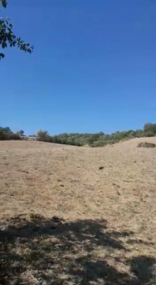 qubada torpaqlarin qiymeti sahesi, -3
